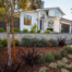 Young plantings in a Mediterranean landscape