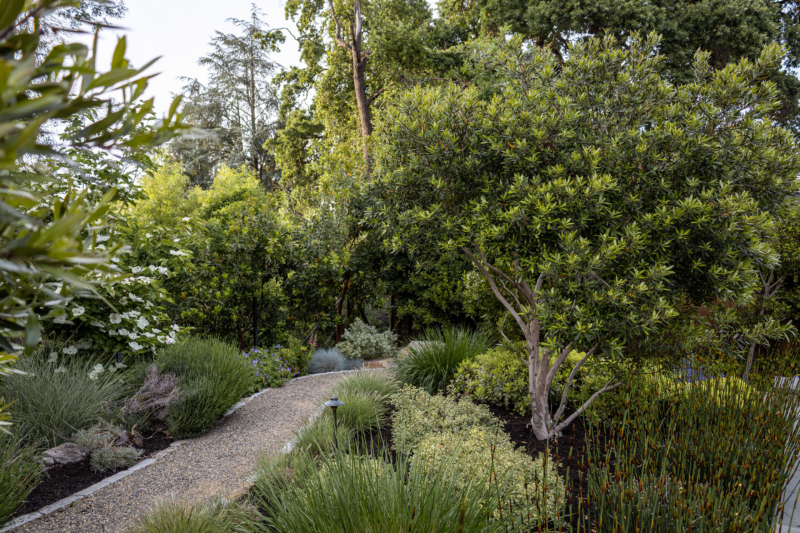 Textural planting of Mediterranean shrubs and trees in shades of green A garden with arbors, grasses, and a shaded cafe table