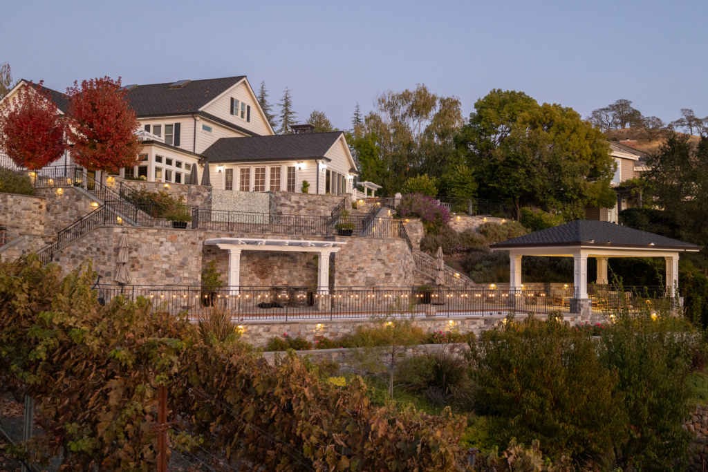 Climbing yellow and apricot garden roses thriving along a stone wall, illustrating a flowering shrub selection well-suited to Northern California's Sunset Zone 15–17 / USDA Zone 9b–10a coastal and inland valley gardens.