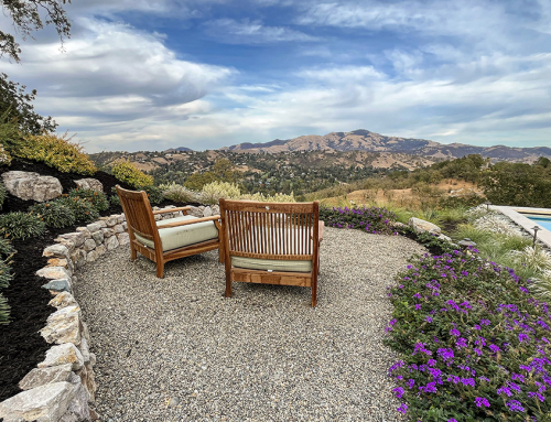 Designing for Hillside & View Properties: A Bay Area Landscape Architect’s Guide