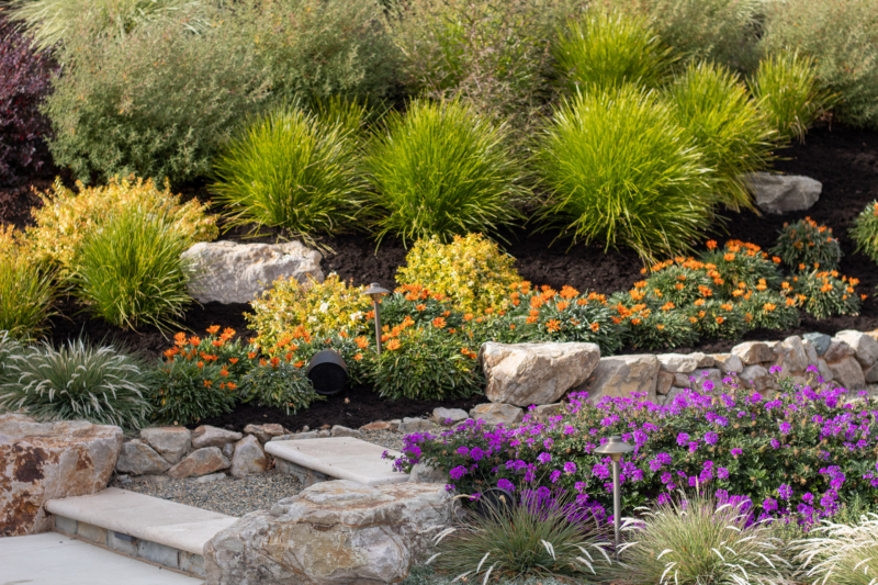 Young peaches may continue to ripen well into the winter