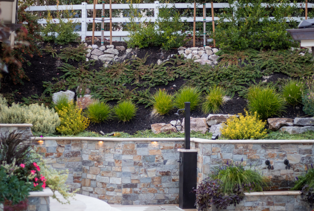 Modern outdoor pool and pavilion with drought-tolerant landscaping — Agave, ornamental grasses, and low groundcover planted in mulched beds along a stone retaining wall, reflecting drought-tolerant plant choices suited to Northern California's Sunset Zone 14–17 / USDA Zone 9b–10a wine country climate.