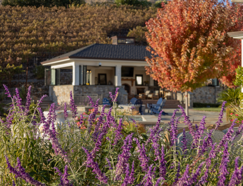 Color in the Landscape: How We Design for Beauty, Mood, and the Bay Area Environment