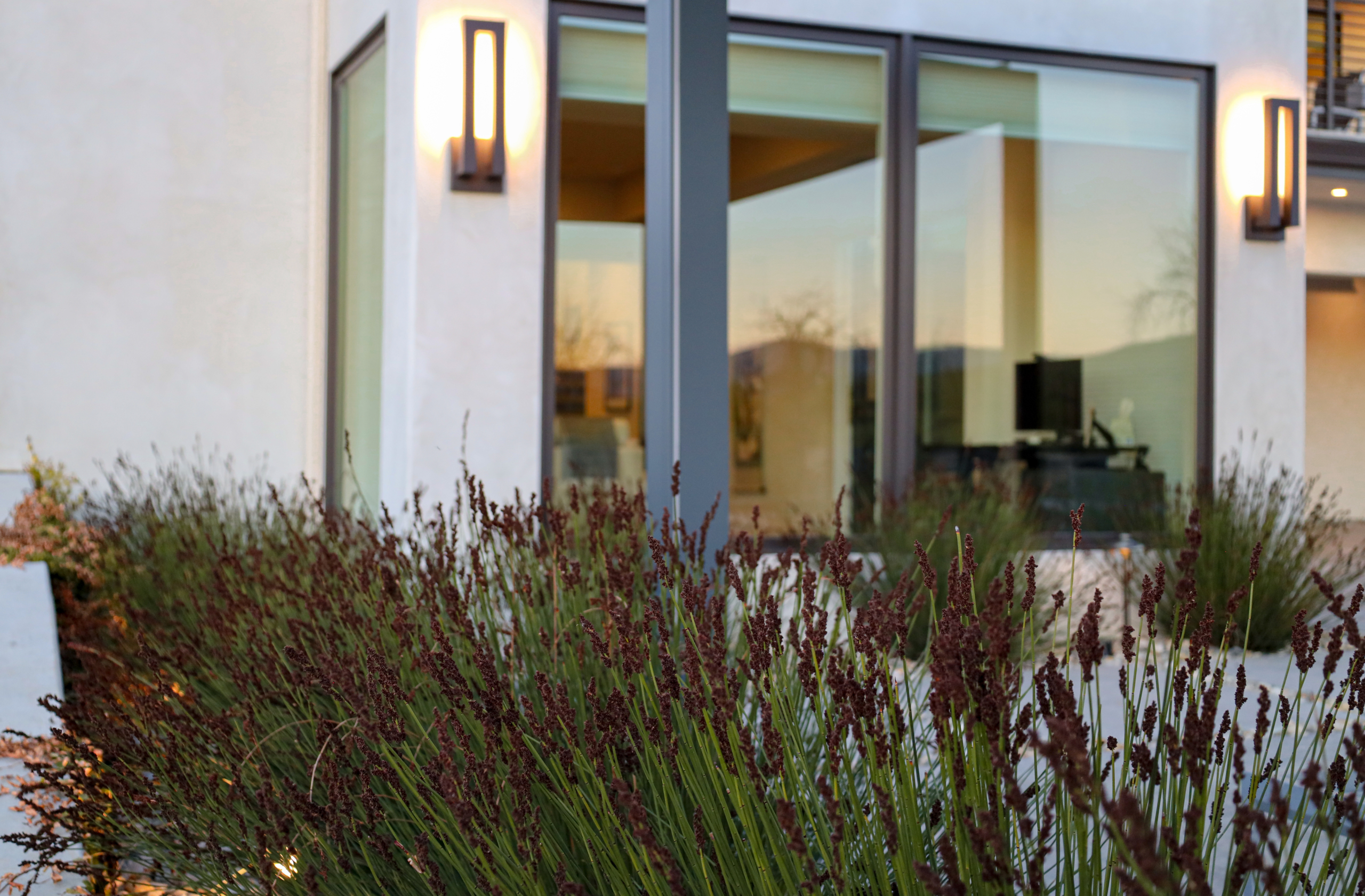 Montgomery Robbins landscape design featuring modern architectural lighting and ornamental grasses near large contemporary windows.