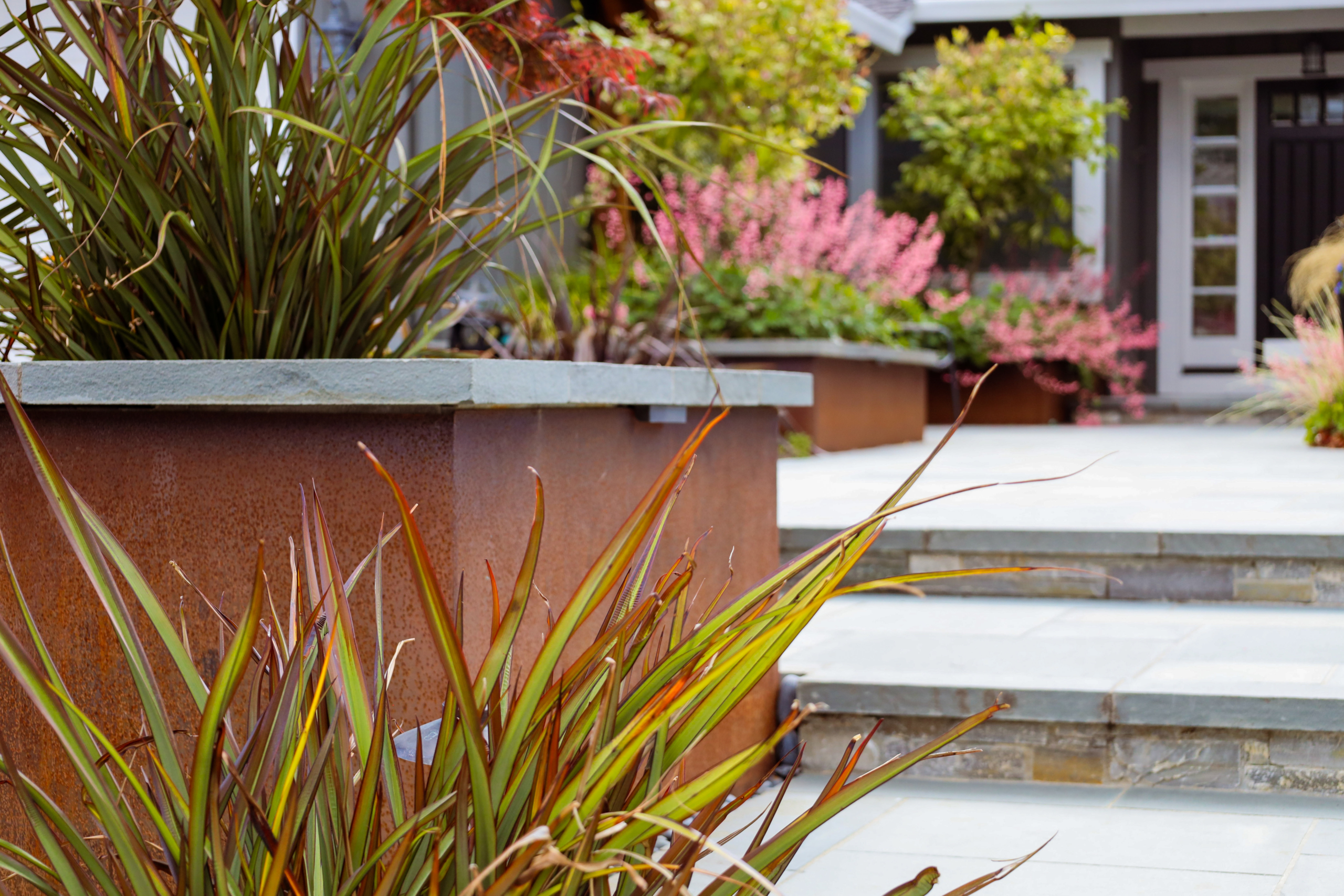 Modern landscape entry design by Montgomery Robbins featuring corten steel planters, ornamental grasses, and tiered stone steps.