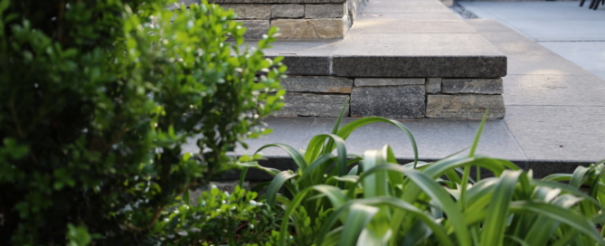 Stone staircase in landscape with lush greenery