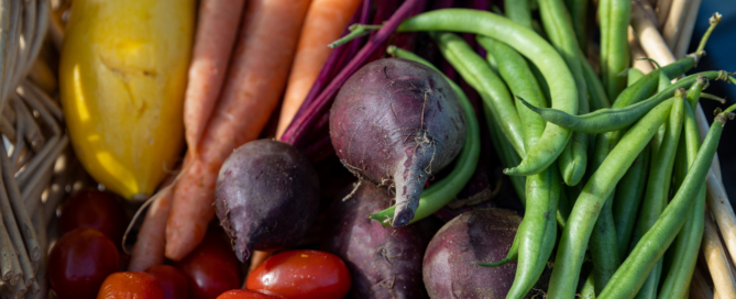 veggies from the garden