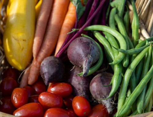 Home Vegetable Garden