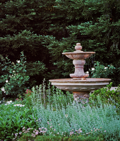 Florentine fountain with white roses