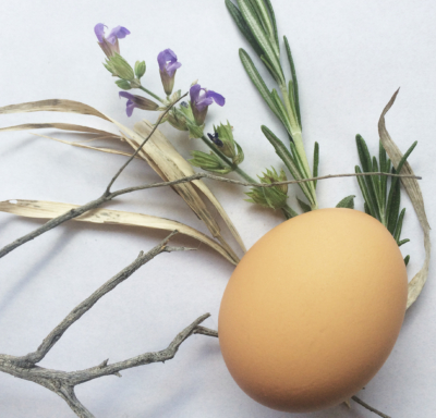 IMG-3011 Close-up of egg, twigs and spring herbs
