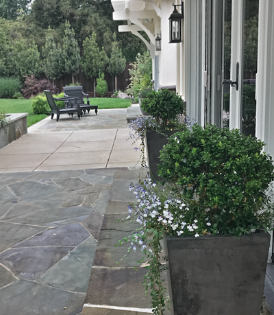 Contemporary traditional concrete planters with boxwoods