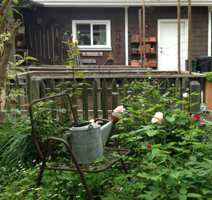 Rustic watering can in lush vegetable garden