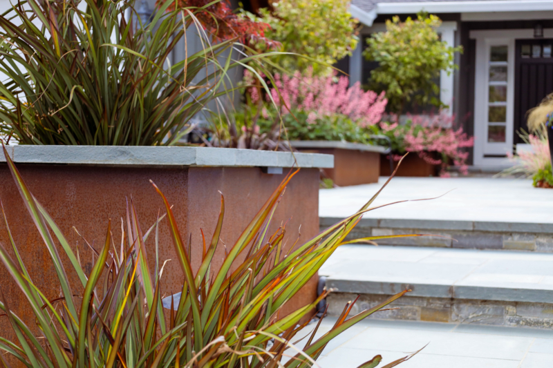 Modern front yard landscaping with custom planters and stone steps by Montgomery Robbins.