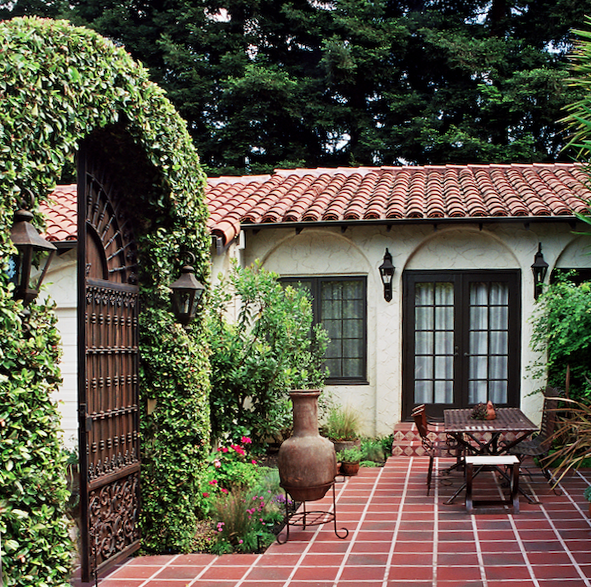 Shade garden with one dead shrub