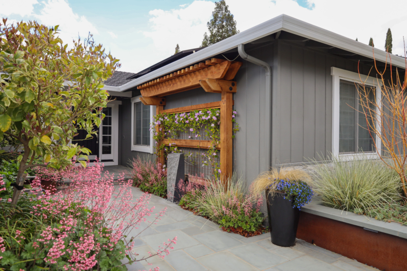 Charming front yard landscape with flowering vines, pink blossoms, and a custom wood trellis by Montgomery Robbins.