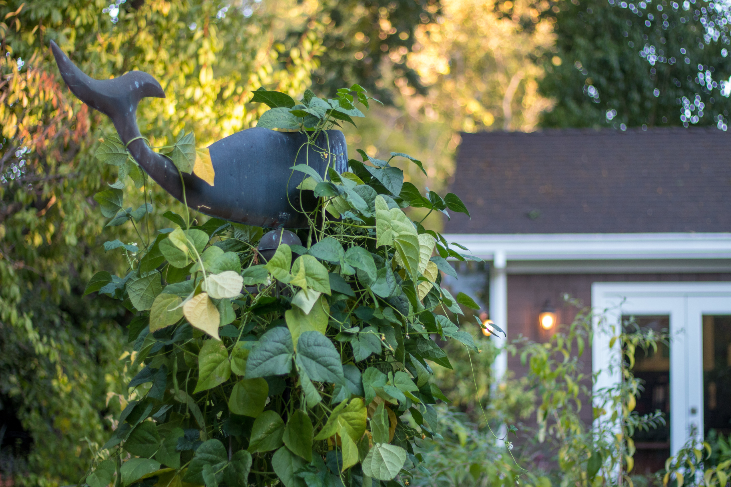 repurposed bedpost garden trellis