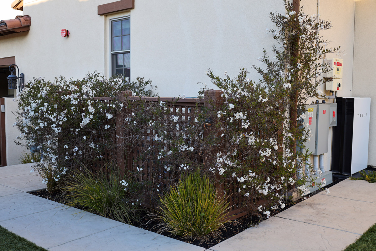 Utility area screening with lattice fence and flowering shrubs by Montgomery Robbins – landscape design blending beauty and function