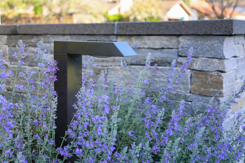 Modern landscape lighting by Montgomery Robbins surrounded by blooming lavender against a stacked stone garden wall.