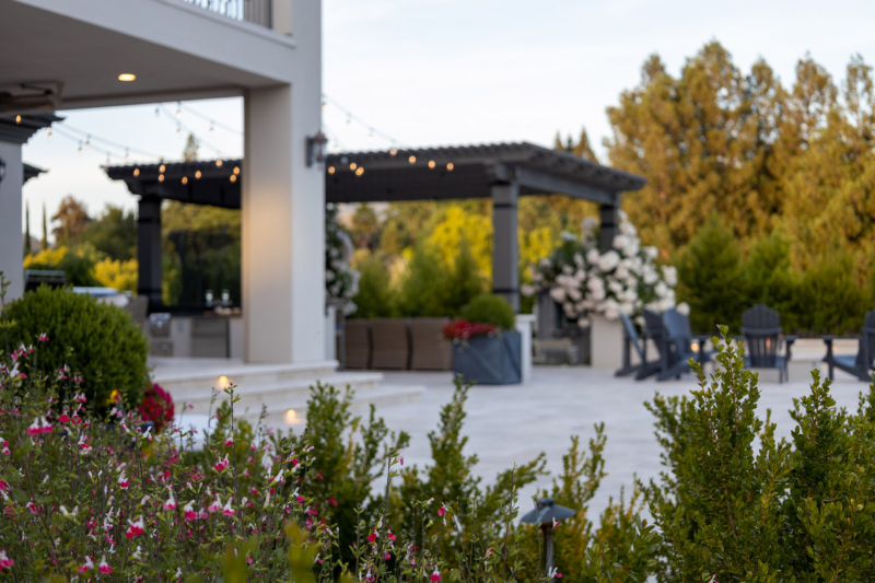 Young peaches may continue to ripen well into the winter