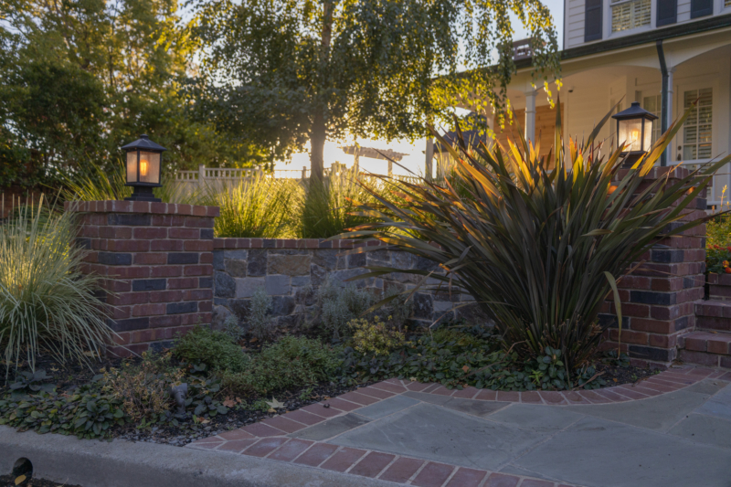 Dark-leaved Phormium in entry planting