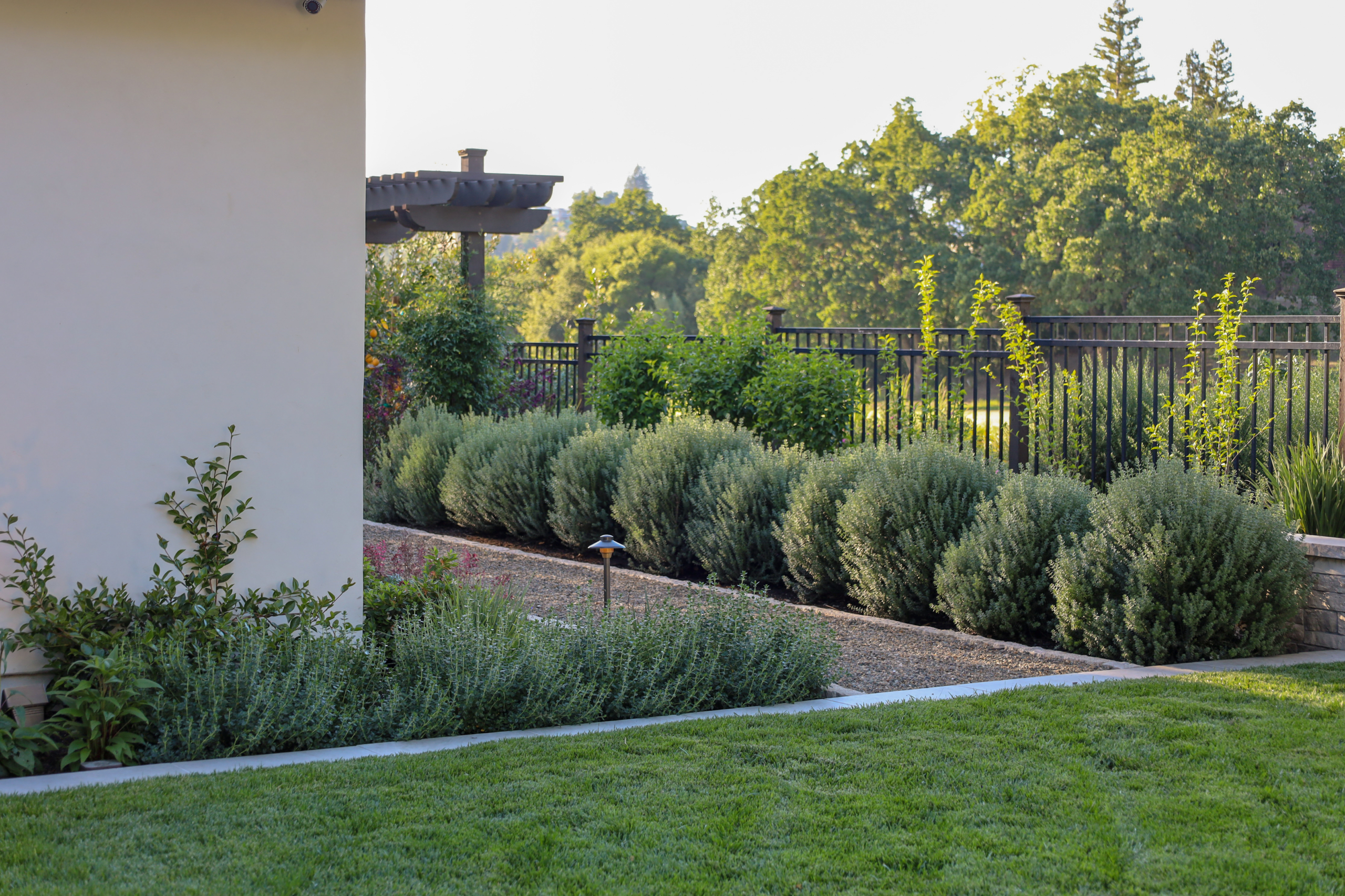 Curved concrete pathway with layered greenery and privacy landscaping by Montgomery Robbins