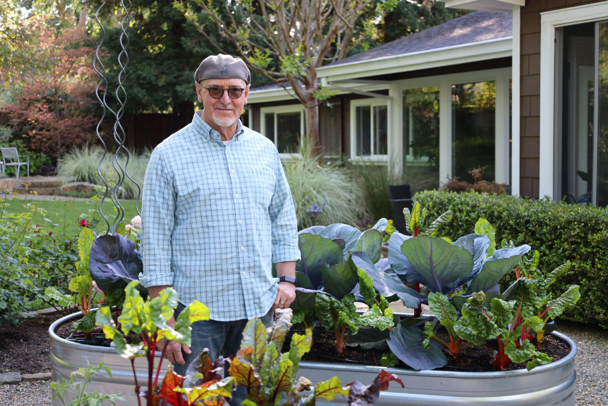 casual vegetable garden