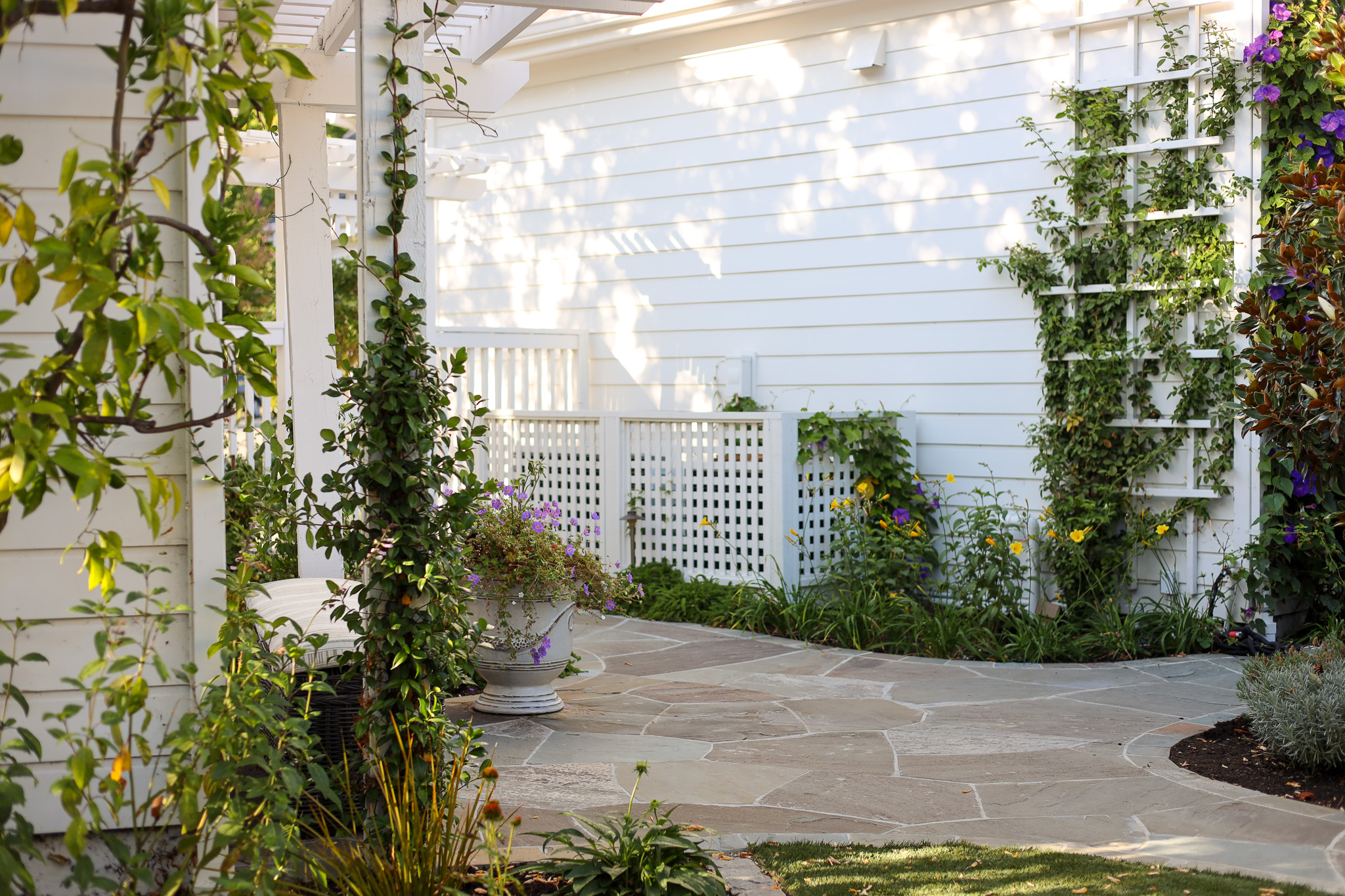 Elegant garden walkway with vining flowers climbing trellises and pergola, designed by Montgomery Robbins, Inc., a San Francisco Bay Area landscape architecture firm specializing in timeless outdoor living spaces.