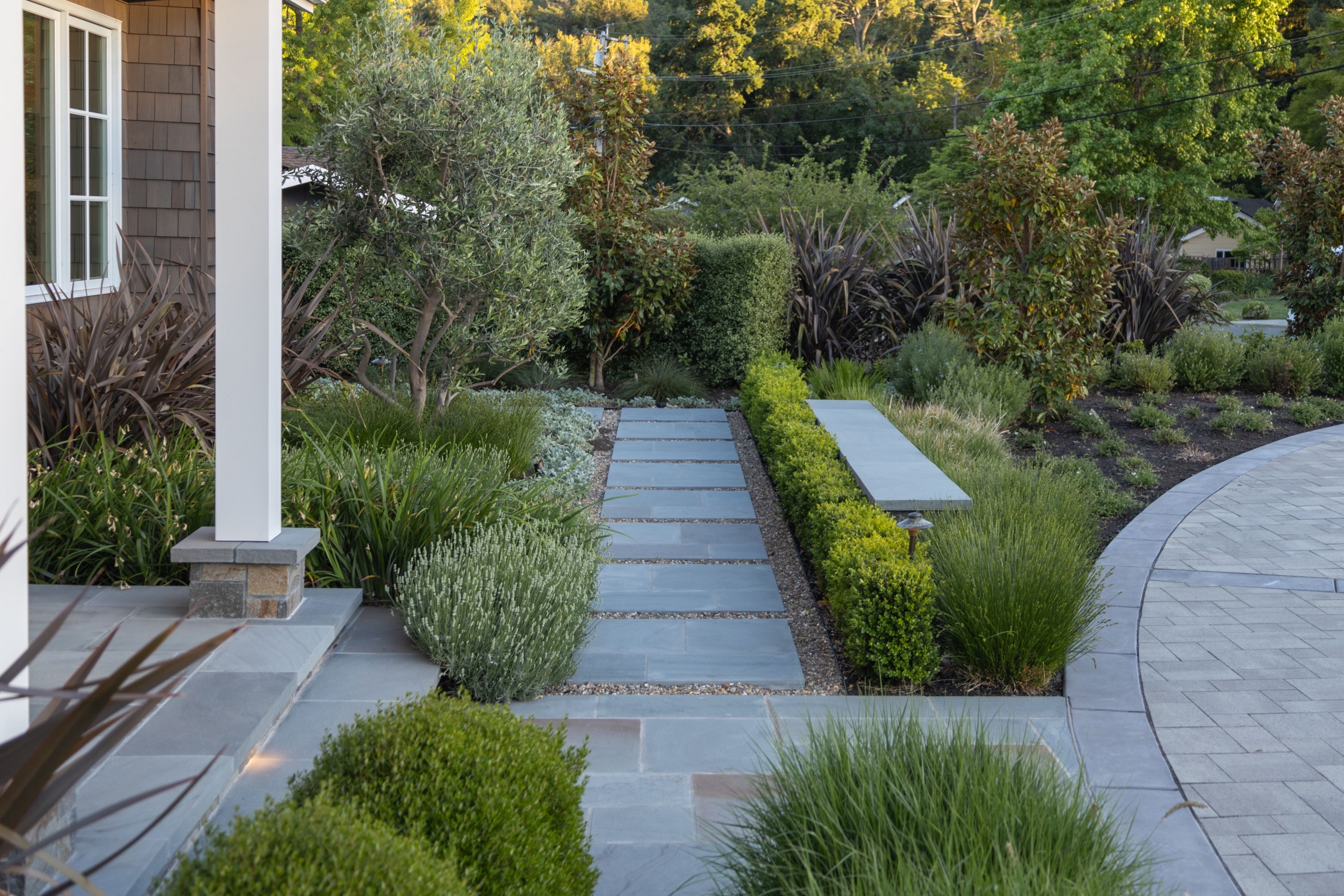 Linear bluestone garden pathway framed by structured planting and soft ornamental grasses in a Bay Area residential landscape by Montgomery Robbins, Inc. residential landscape architecture, designed to create clean circulation and a refined transition between outdoor living spaces.
